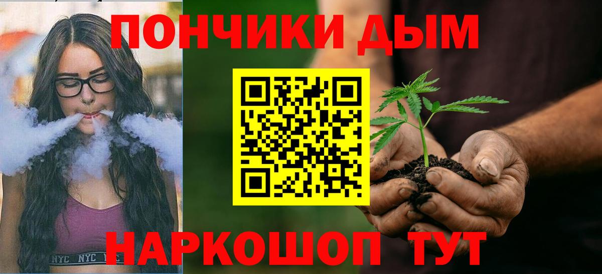Каннабис Bruce Banner  Вход с VPN  Шишки марихуана планчик  Шишки марихуана THC 21%  Бошки Шишки White Widow  Киржач 